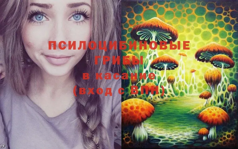 blacksprut онион  Шлиссельбург  Псилоцибиновые грибы Magic Shrooms 